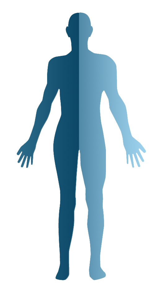 body
